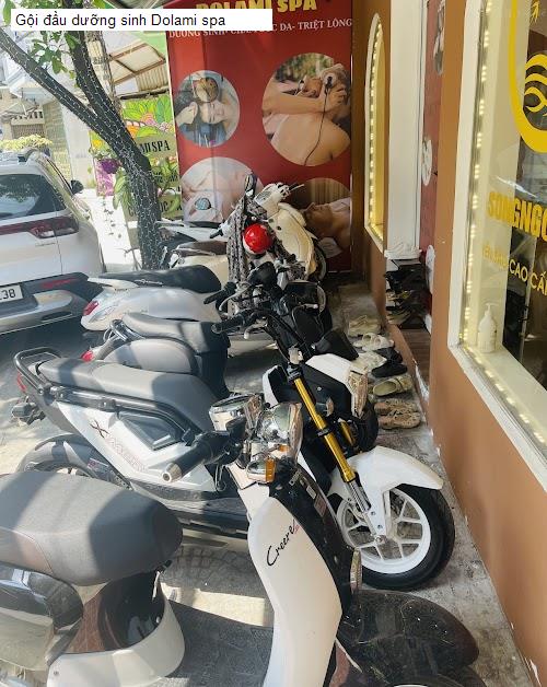 Bảng giá Gội đầu dưỡng sinh Dolami spa